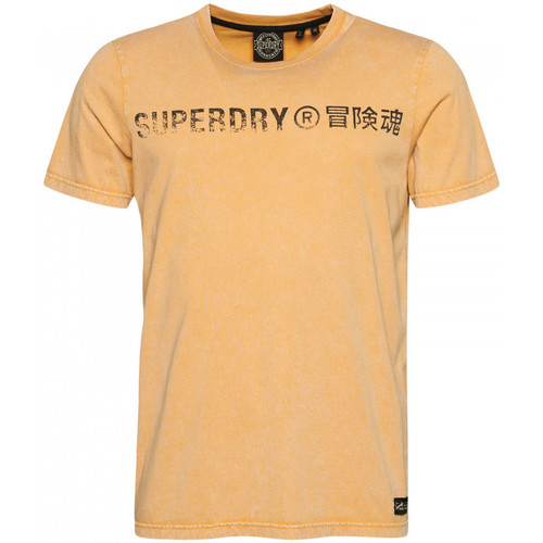 textil Hombre Tops y Camisetas Superdry Vintage corp logo Beige