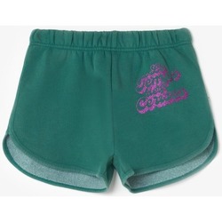 textil Niña Shorts / Bermudas Le Temps des Cerises Short CRISTIGI Verde