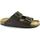 Zapatos Hombre Zuecos (Mules) Grunland GRU-ZAL-CB0974-TM Marrón