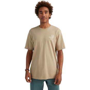 textil Hombre Camisetas manga corta O'neill T-shirt  O'riginal Surfer Gris