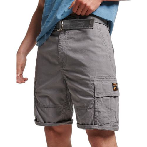 textil Hombre Shorts / Bermudas Superdry Short cargo  Heavy Gris