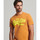 textil Hombre Tops y Camisetas Superdry Vintage vl neon Marrón