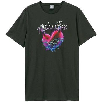 textil Camisetas manga larga Amplified  Multicolor