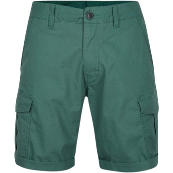 textil Hombre Shorts / Bermudas O'neill Short  Beach Break Cargo Azul