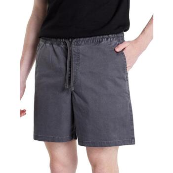textil Hombre Pantalones cortos Vans VN0A5FKC1O71 Gris