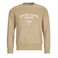 textil Hombre Sudaderas Calvin Klein Jeans VARSITY CURVE CREW NECK Beige