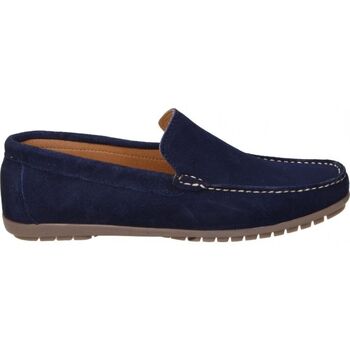 Zapatos Hombre Derbie & Richelieu Benson ZAPATOS  81121 CABALLERO MARINO Azul