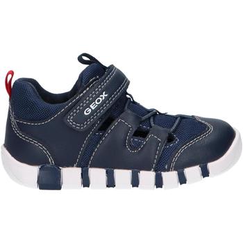Zapatos Niños Derbie & Richelieu Geox B3555B 0BC14 B IUPIDOO Azul