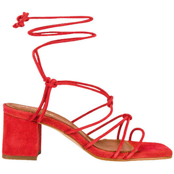 Zapatos Mujer Sandalias Alohas SANDALIA ANTE TACÓN ATAR Rojo