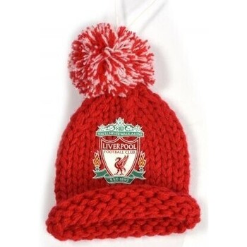 Accesorios textil Gorro Liverpool Fc Eternal Rojo