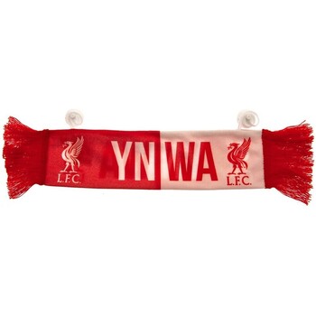 Accesorios Complemento para deporte Liverpool Fc YNWA Rojo