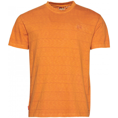textil Hombre Tops y Camisetas Superdry Vintage texture Naranja