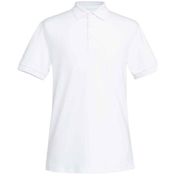 textil Hombre Tops y Camisetas Brook Taverner BK613 Blanco