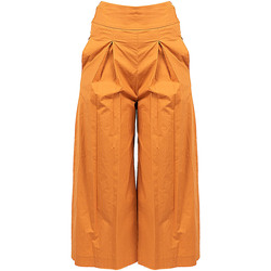 textil Mujer Pantalones Pinko 1G161E Y6VX | Teso 4 Marrón