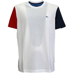 textil Hombre Tops y Camisetas Harmont & Blaine IRJ210021236 Blanco
