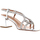 Zapatos Mujer Sandalias Bibi Lou 594Z17VK Otros