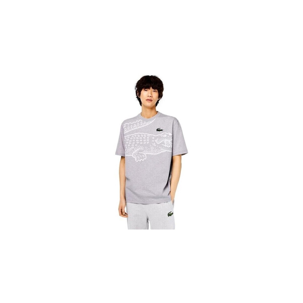 textil Hombre Camisetas manga corta Lacoste CAMISETA HOMBRE   LOOSE FIT TH5511 Gris
