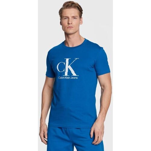 textil Hombre Camisetas manga corta Calvin Klein Jeans CAMISETA DISRUPTED  HOMBRE Azul