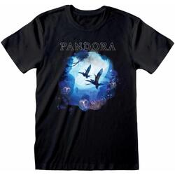 textil Camisetas manga larga Avatar Pandora Negro