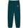 textil Pantalones de chándal Franklin & Marshall JM1004.2000P01.SS-235 Verde