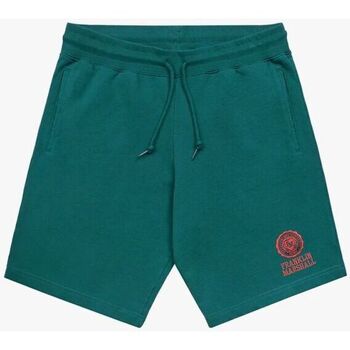 textil Shorts / Bermudas Franklin & Marshall JM4033.2000P01-235 Verde