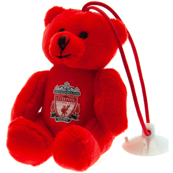 Accesorios Complemento para deporte Liverpool Fc Hang In There Buddy Rojo
