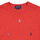 textil Niños Camisetas manga corta Polo Ralph Lauren SS CN-KNIT SHIRTS-T-SHIRT Rojo