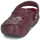 Zapatos Mujer Zuecos (Clogs) Crocs Classic Lined Clog Burdeo