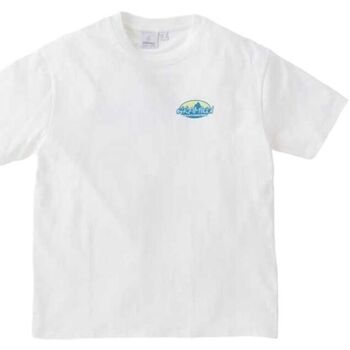 textil Hombre Camisetas manga corta Gramicci Camiseta Summit Hombre White Blanco