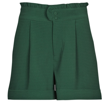 textil Mujer Shorts / Bermudas Only ONLROSEMARY HW FRILL WAFFLE SHORTS PNT Verde