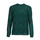 textil Mujer Tops / Blusas Only ONLKACEY FR L/S HIGH NECK TOP PTM Verde