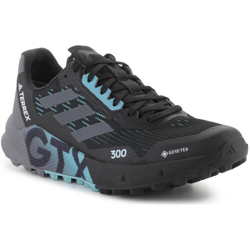 Zapatos Mujer Running / trail adidas Originals Adidas Terrex Agravic Flow 2 GTX H03382 Multicolor