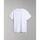 textil Hombre Tops y Camisetas Napapijri SALIS SS SUM NP0A4H8D-002 BRIGHT WHITE Blanco