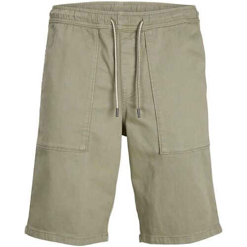 textil Hombre Shorts / Bermudas Jack & Jones 12229946 JOGGER AMA-DEEP LICHEN Verde