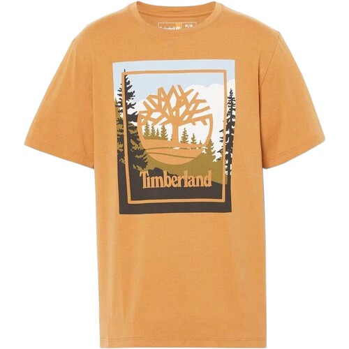 textil Hombre Camisetas manga corta Timberland 212160 Amarillo