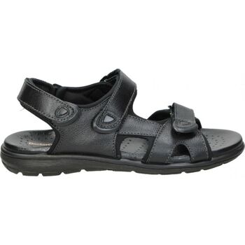 Zapatos Hombre Sandalias Doctor Cutillas 70115 Negro