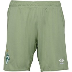textil Niños Shorts / Bermudas Umbro  Verde