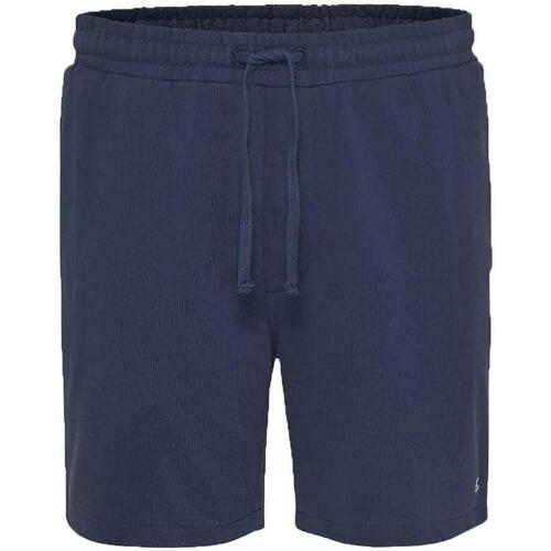 textil Hombre Shorts / Bermudas Tommy Jeans DM0DM16331-C87 Azul