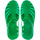 Zapatos Zapatos para el agua Andrés Machado AM188 Verde