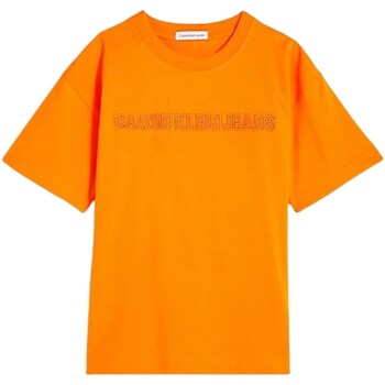 textil Niño Camisetas manga corta Calvin Klein Jeans IB0IB01643 Naranja