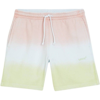 textil Hombre Shorts / Bermudas Levi's A1062-0008 Multicolor