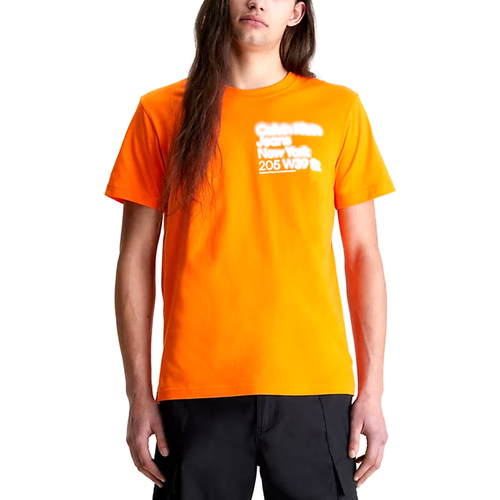 textil Hombre Camisetas manga corta Calvin Klein Jeans J30J322870-SCB Naranja