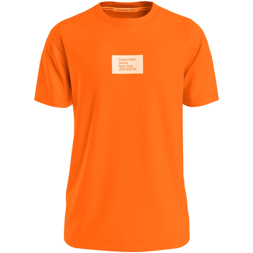 textil Hombre Camisetas manga corta Calvin Klein Jeans J30J322879-SCB Naranja