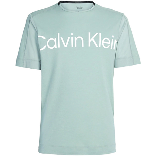 textil Hombre Camisetas manga corta Calvin Klein Jeans 00GMS3K102-LFW Verde