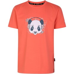 textil Niños Camisetas manga corta Dare 2b Trailblazer Multicolor