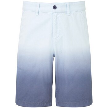 textil Hombre Shorts / Bermudas The Wombats WB904 Azul