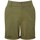textil Mujer Shorts / Bermudas Asquith & Fox AQ068 Verde