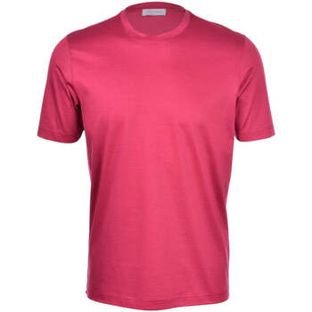 textil Hombre Tops y Camisetas Gran Sasso  Rojo