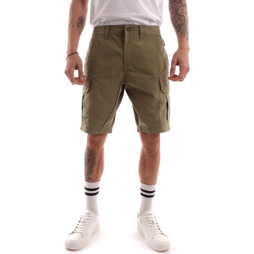 textil Hombre Shorts / Bermudas Napapijri NP0A4GAM Verde