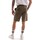 textil Hombre Shorts / Bermudas Tommy Hilfiger MW0MW31245 Verde